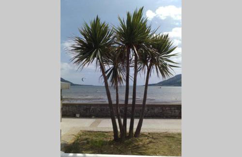 Are you looking for a big piece of heaven? - Photo 9