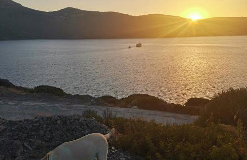 Pandaisia Φούρνοι Κορσεων - Foto 16