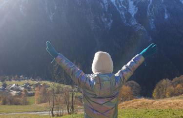 Hotel Chalet du Bon Air - Foto 42