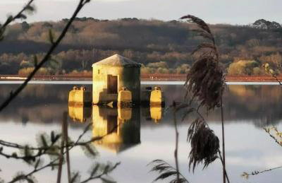 Villa piscine labenne océan - Foto 12