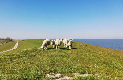 Fischerhäuschen am Kurpark - Foto 26