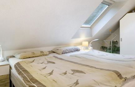 Ferienwohnungen Seeblick - Foto 49