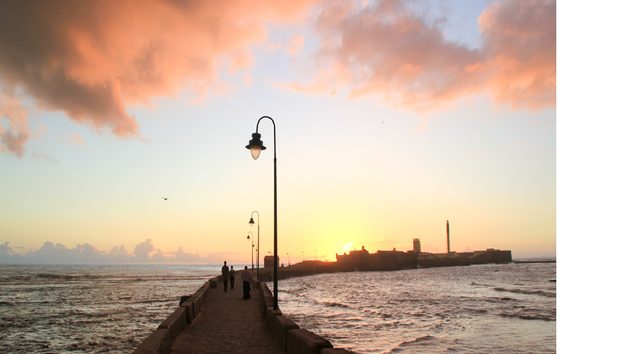 Baie de Cadix et Jerez - Photo 3