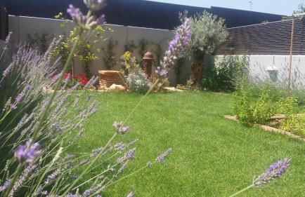 Poesia y Vino - Foto 20