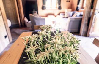 Baita Valon - Alpine Hideaway - Foto 81