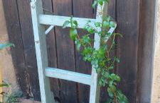 El Racó dels Mussols 2 - Foto 65