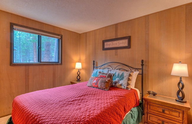 Lynx Lane 3 - Foto 5