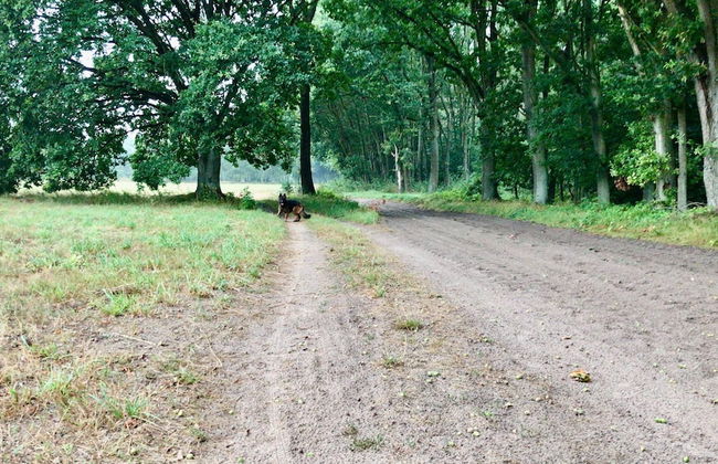 Charming Holiday Home in Wolin With Terrace - Foto 50