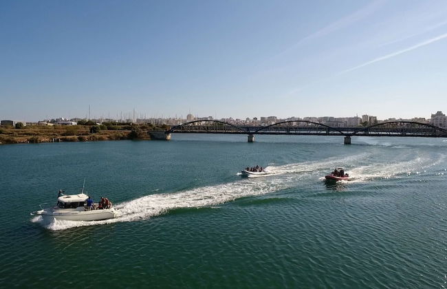 Villa Hollywood - Foto 76