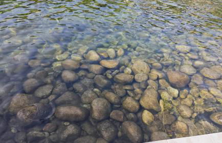 Casa do Apeadeiro - Foto 29