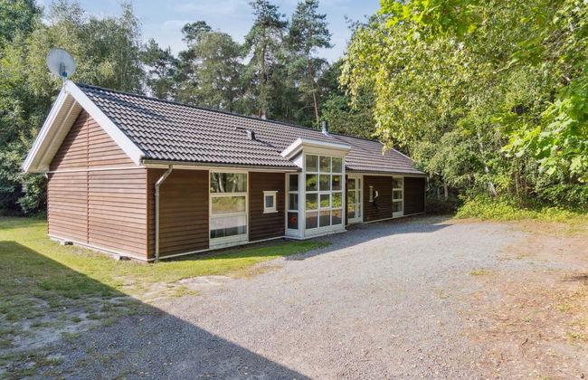 "Dorit" - 600m from the sea - Photo 3