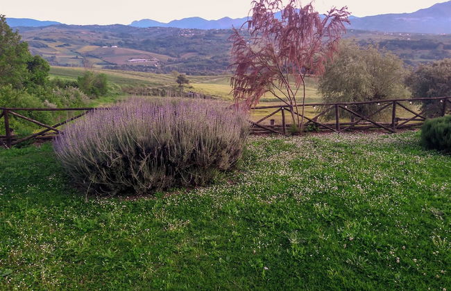 Villa Paradiso - Irpinia - Foto 66