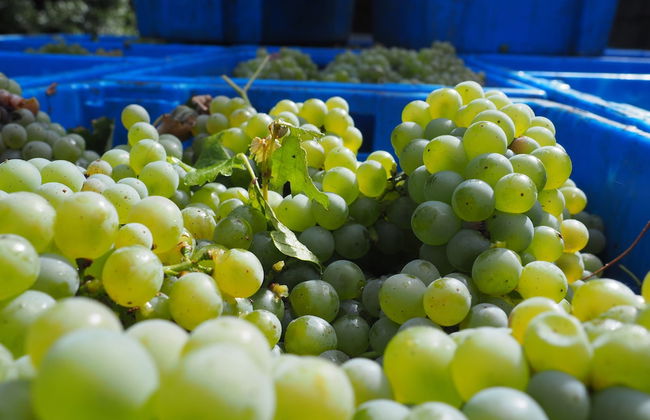 Casa De Sezim - Foto 22