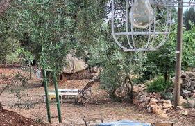 Residenza Anima Mediterranea - Foto 31