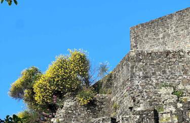 La Finestra di Dante - Foto 11