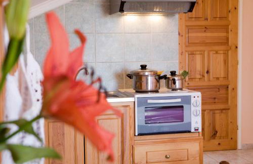 Pansion Filoxenia Apartments & Studios - Foto 9