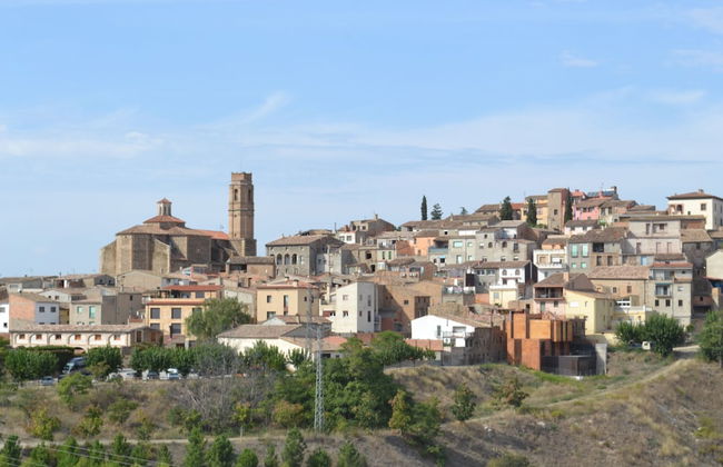 Cal Campana - Adults Only - Photo 1