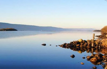 The Willows at Mullans Bay - Foto 47