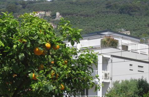 Attico Fronte Mare Residenza Matilde - Photo 5