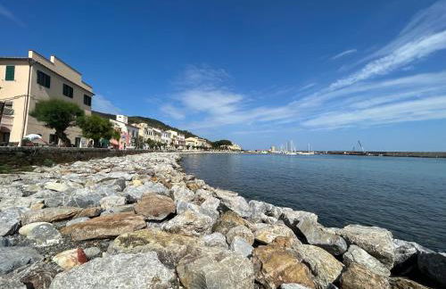 Agave Marina - Foto 59