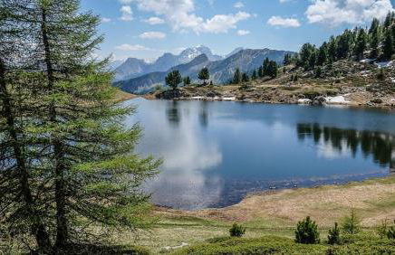 Location MarjoRI - T3 Le Kakariki - Foto 30