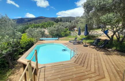 L'Olivaie - Calme, confort et vue imprenable - Foto 3