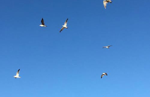 Summer holiday - Foto 32