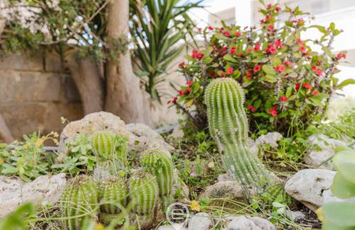 L'angolo Blu - Foto 42