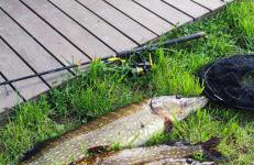 Piotiwo D1 - Foto 27