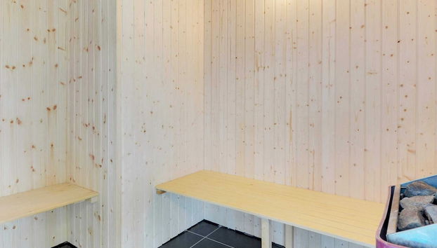 21 Person Holiday Home in Blavand - Foto 4, Sauna