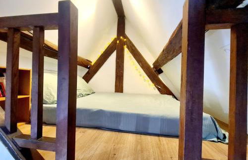 Appartement cosy & mezzanines - Foto 7