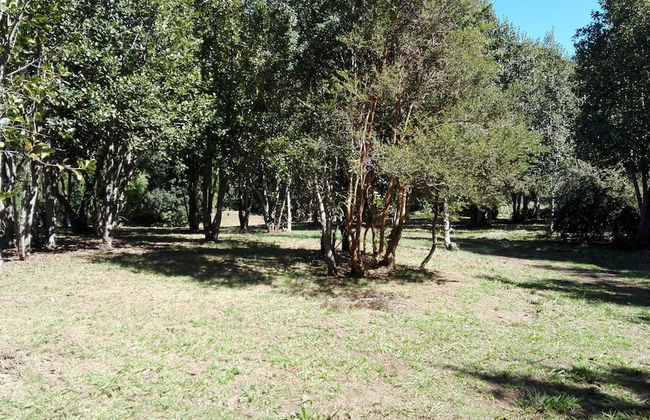 Cabaña Rústica 2 Maravillosa,con Troncos Nativos, con Orilla de Río Trancura - Photo 49