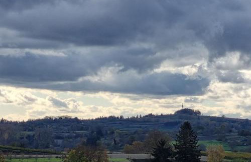 Ferienwohnung Waldblick - Photo 6