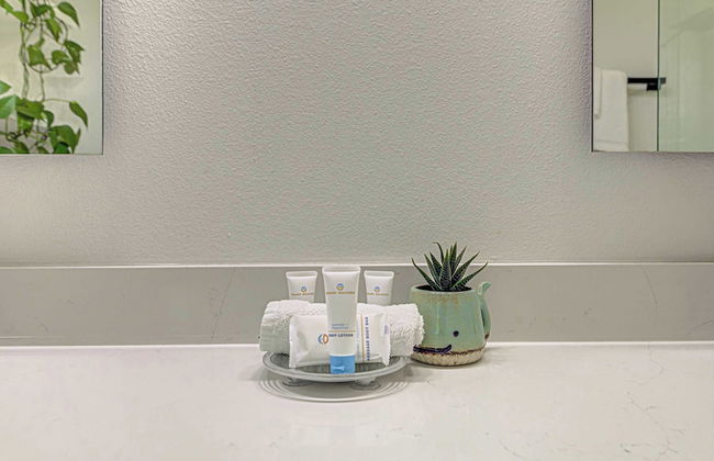 Private Backyard in East Austin - Photo 20