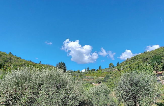 Holiday Home in Tuscany Near Lucca - Foto 38