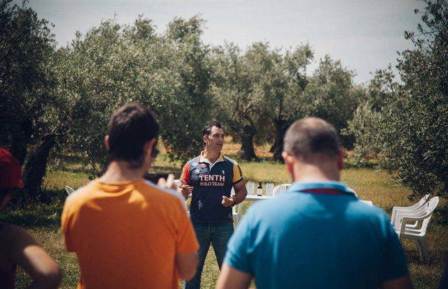 Visita di un oliveto ecologico + Degustazione di olio - Foto 3