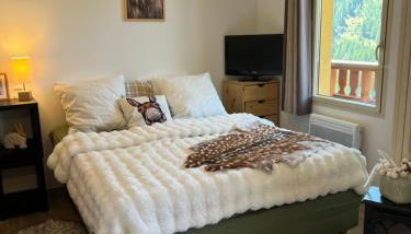 Plein Centre, sublime et confortable, 6 personnes, 2 chambres, Plein Centre, luxueux 6 personnes, 2 chambres , terrasse, vue époustouflante, Tout pédestre, piste à 100m, parking couvert - Foto 5