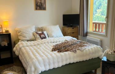 Plein Centre, sublime et confortable, 6 personnes, 2 chambres, Plein Centre, luxueux 6 personnes, 2 chambres , terrasse, vue époustouflante, Tout pédestre, piste à 100m, parking couvert - Photo 5