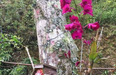 Loft Aconchego da Serra - Foto 20