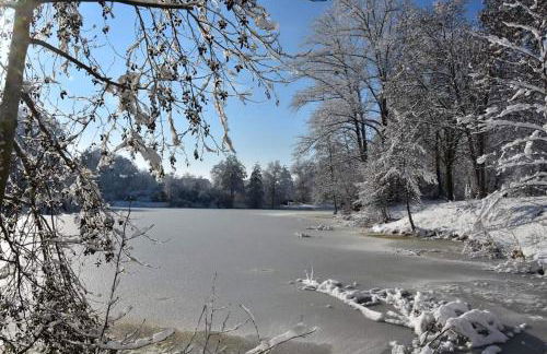 Schillerstüble - Foto 25