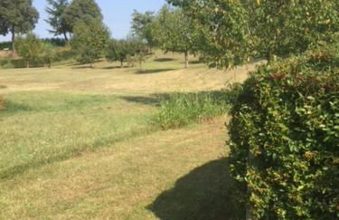 casa in campagna _LORI - Photo 24