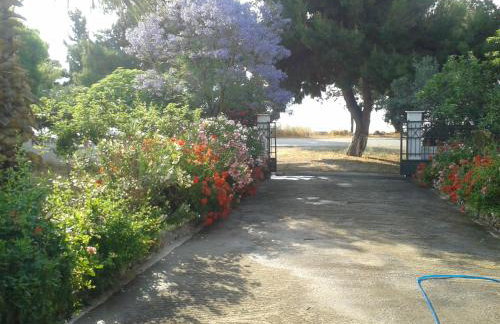 Elea Guesthouse - Photo 60