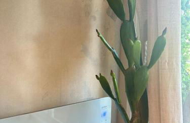 Costa De Madrid-San Martin de Valdeiglecias - Foto 79