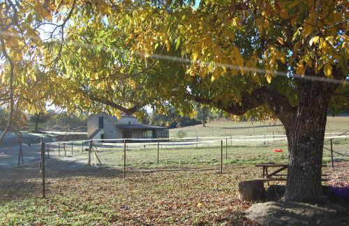 Finca El Zurrador - Foto 21