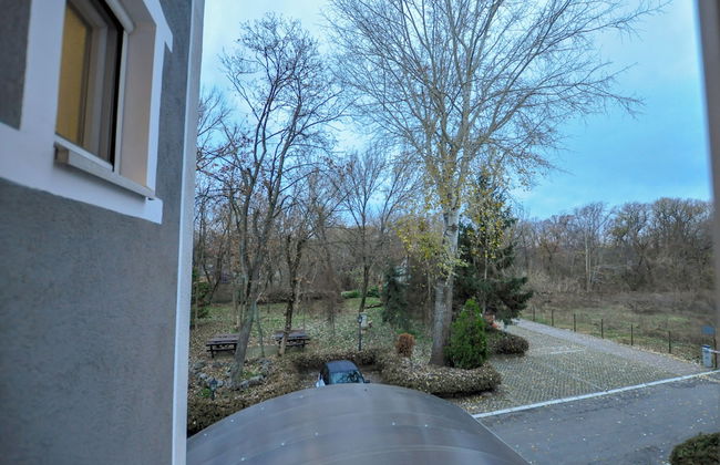 Vila Forest - Photo 11