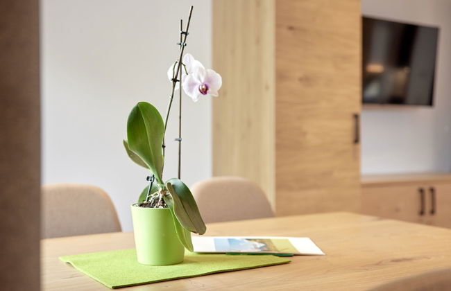 Apart Hanna am Hannesnhof - Foto 8