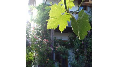 Mathilde Comfortable holiday residence - Foto 2, Other