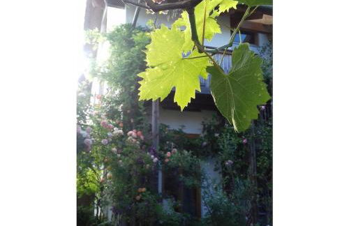 Mathilde Comfortable holiday residence - Foto 2