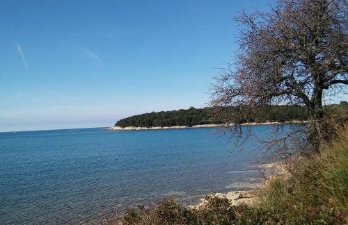 "Andrija" apartmen's - Foto 35