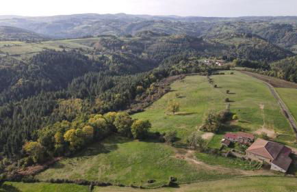 Domaine du COQ en PAT - Foto 48